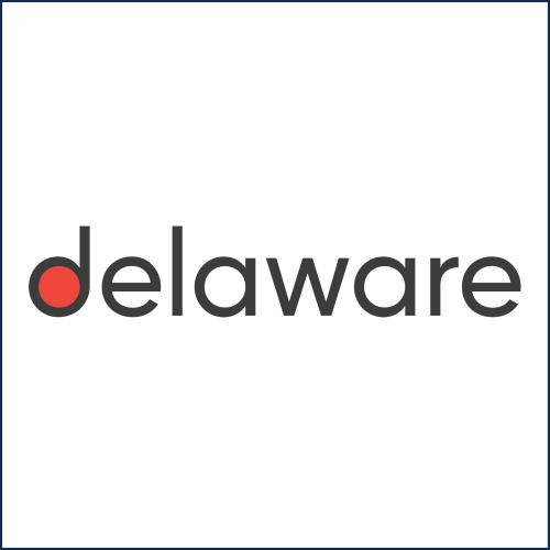 logo Delaware, sponsor voor Dominiek Savio Trail Run 2024